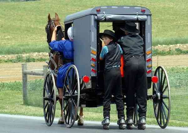 amish mobil